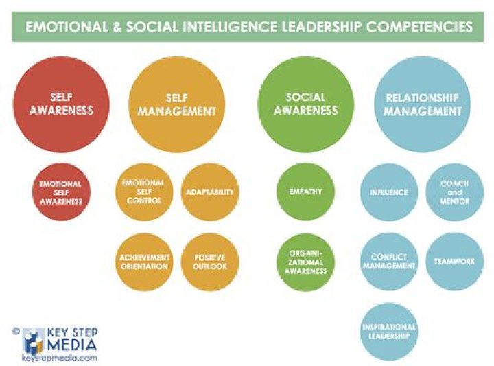 What are the five social and emotional competencies