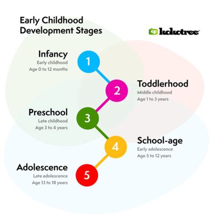 What are the major milestones of middle childhood