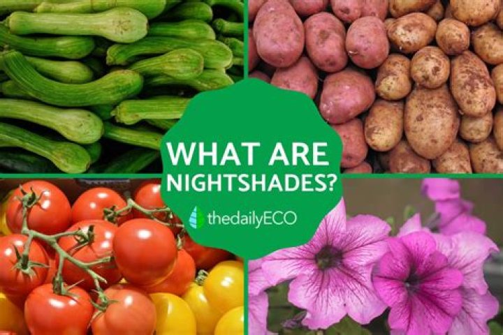 What are the nightshade fruits and vegetables