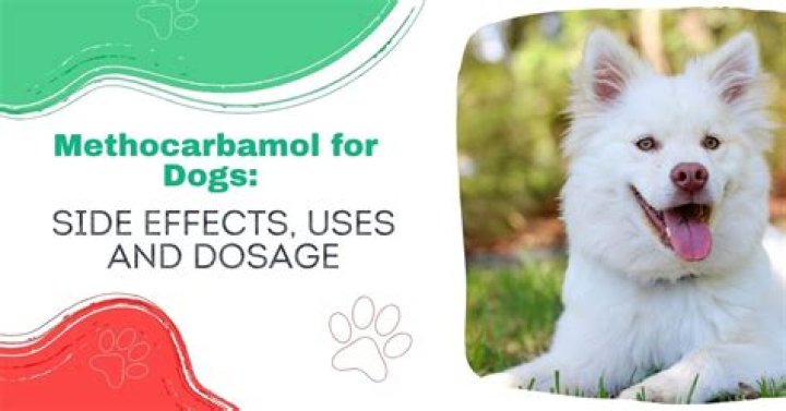 What are the side effects of methocarbamol in dogs
