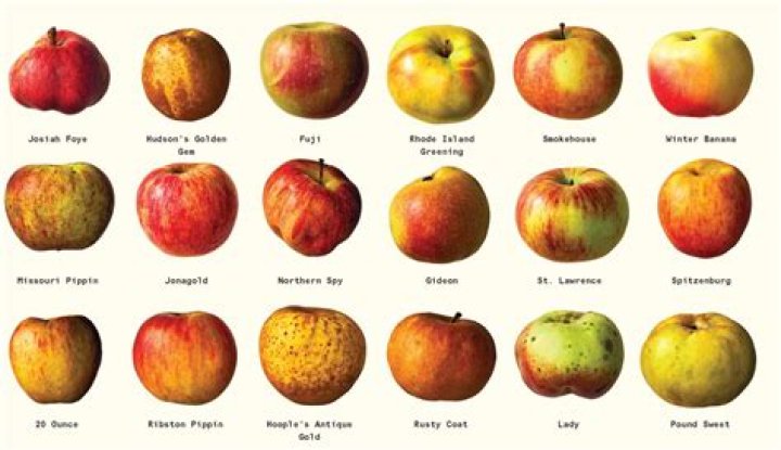 What are the top 3 things you look for when selecting the freshest apple in the store Shipt