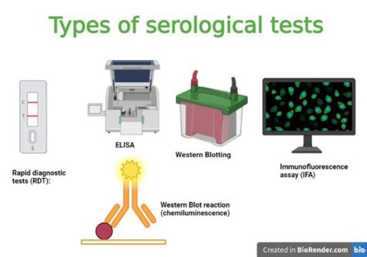What are the types of serological tests