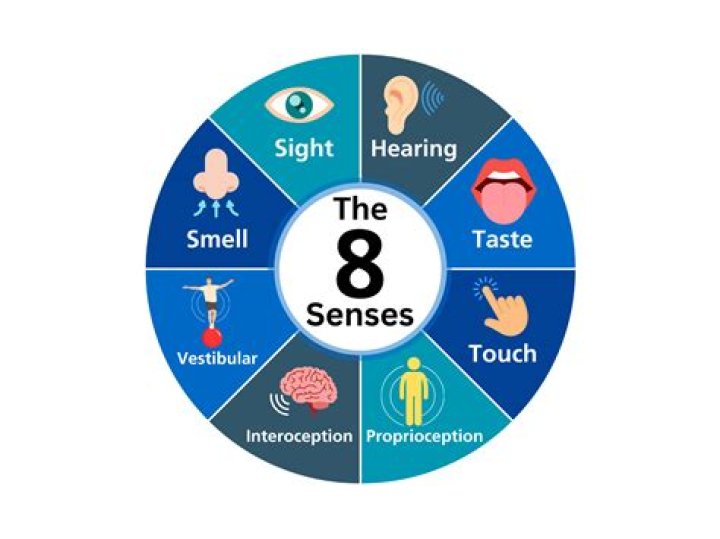 What are your other senses