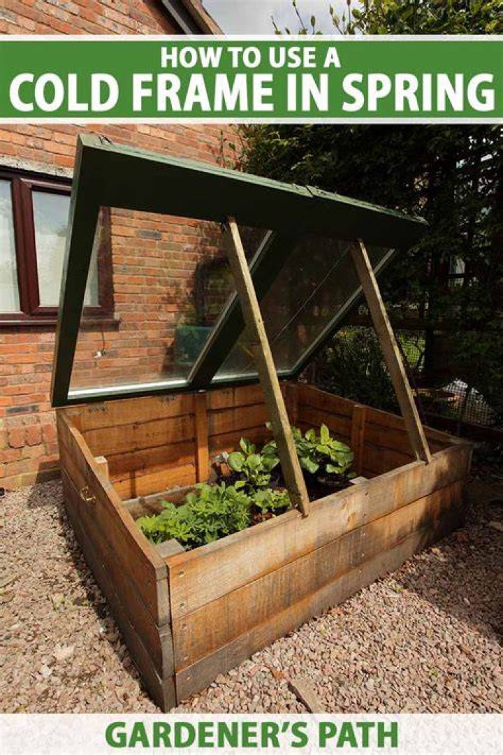 What can I grow in cold frame