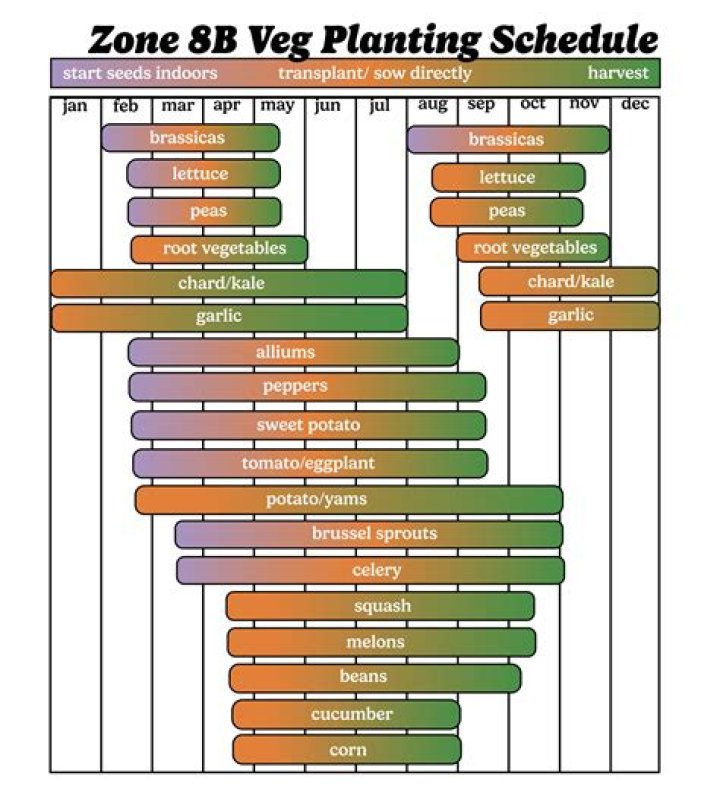 What can I plant in March in Zone 8