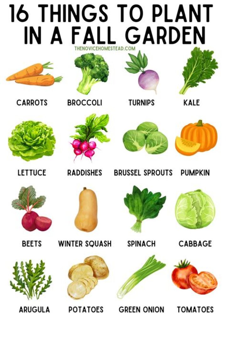 What can I plant in the fall in Ohio