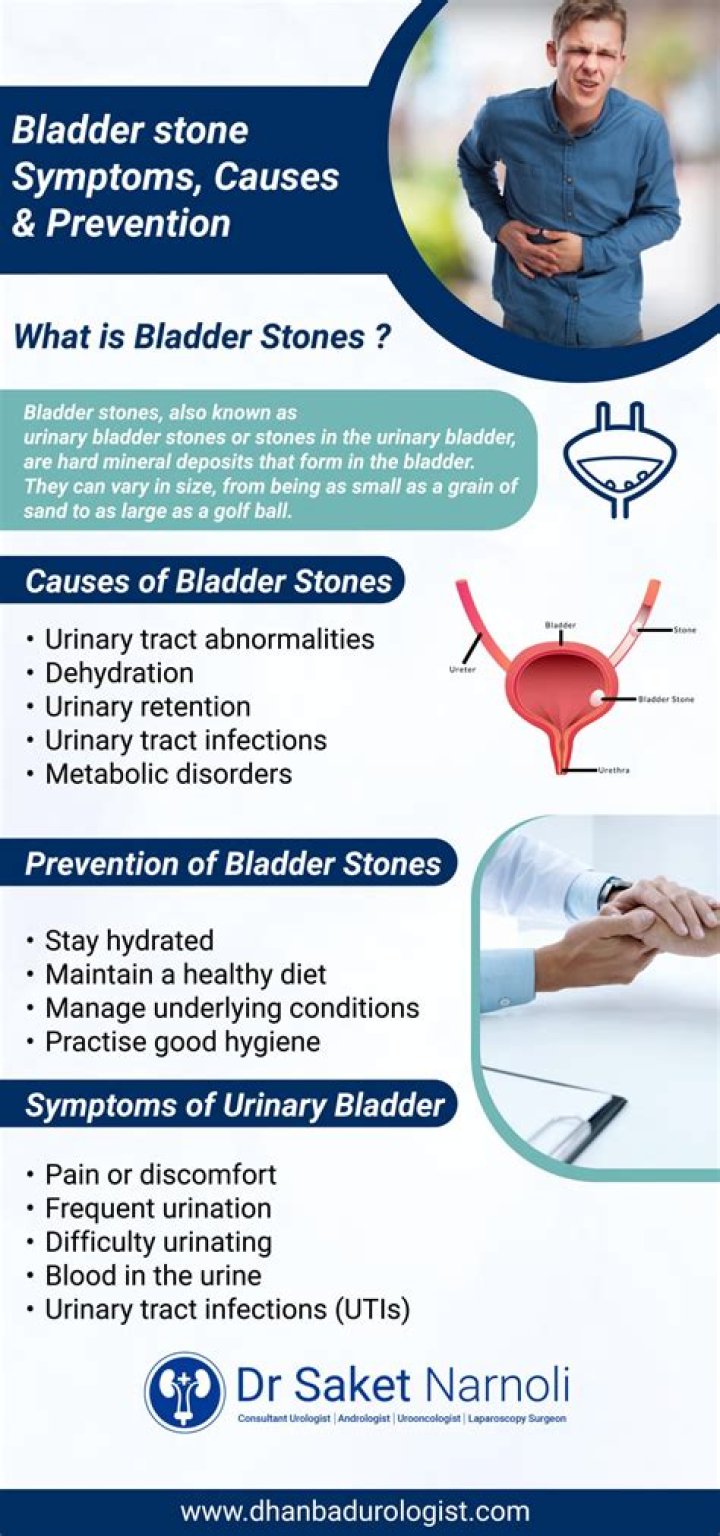 What causes bladder stones in tortoises