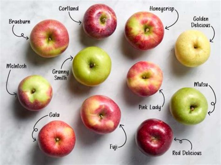 What climate do apples need