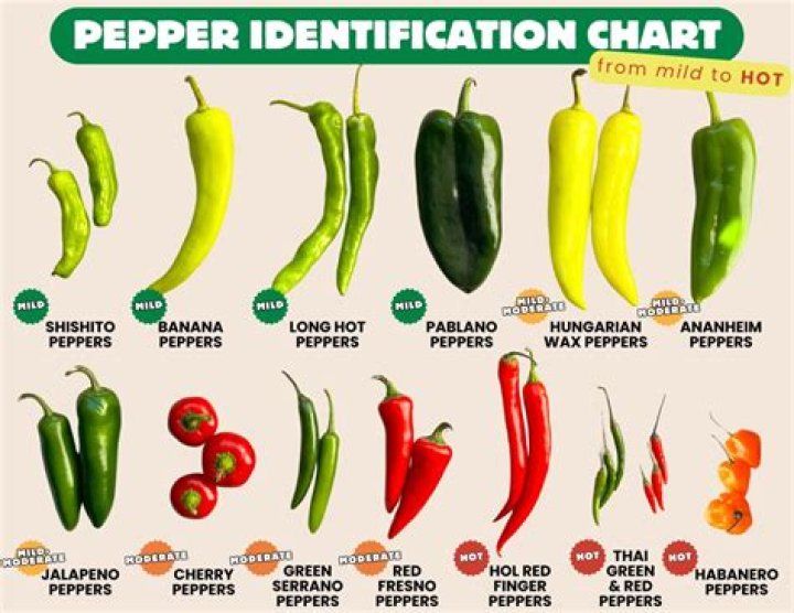What color are pepperoncini