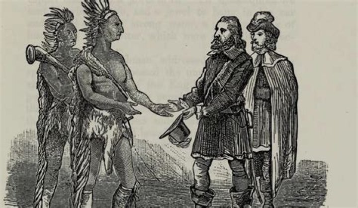 What did Native Americans introduce to Europeans