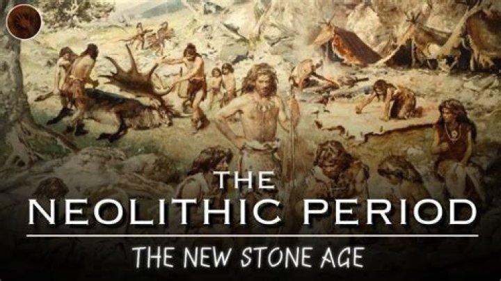 What did people do before the Neolithic Revolution