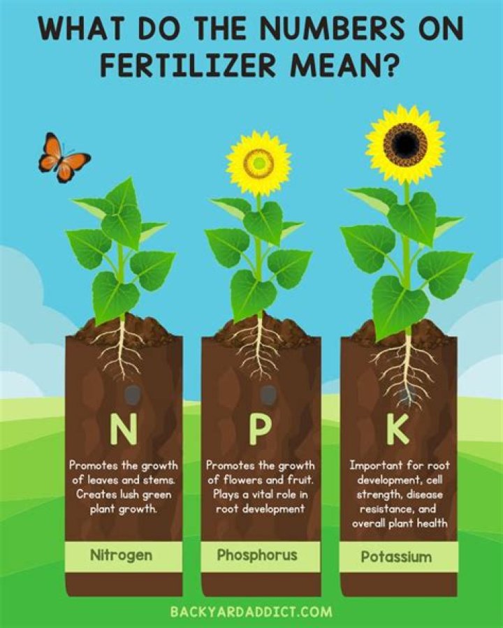 What do the fertilizer numbers mean