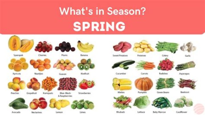 What do we do in spring season