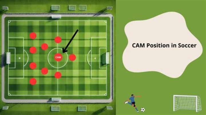 What does Cam score mean
