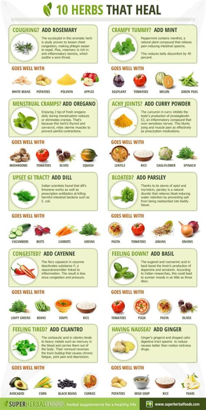 What does herbs do to your body
