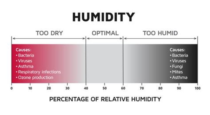 What does relative humidity indicate quizlet