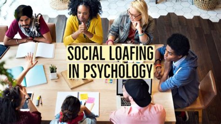 What does social loafing mean