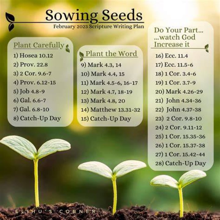 What does the Bible say about seed time and harvest