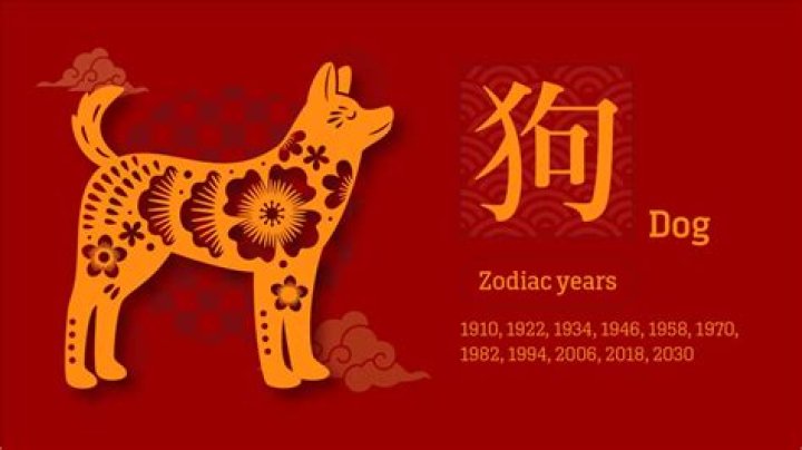 What does the Year of the Dog symbolize