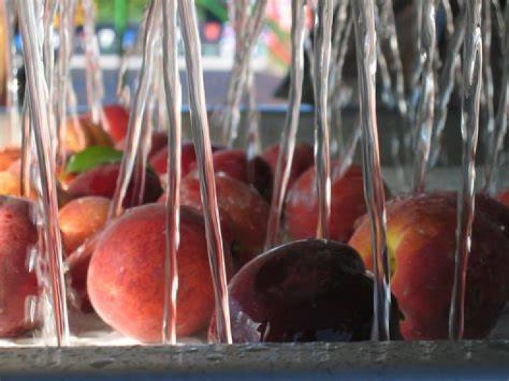What does tree ripened mean