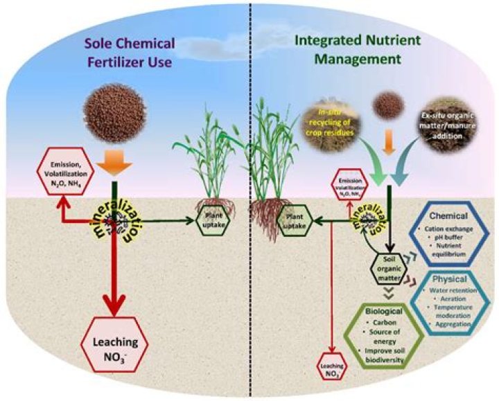 What fertilizer is bad for the environment