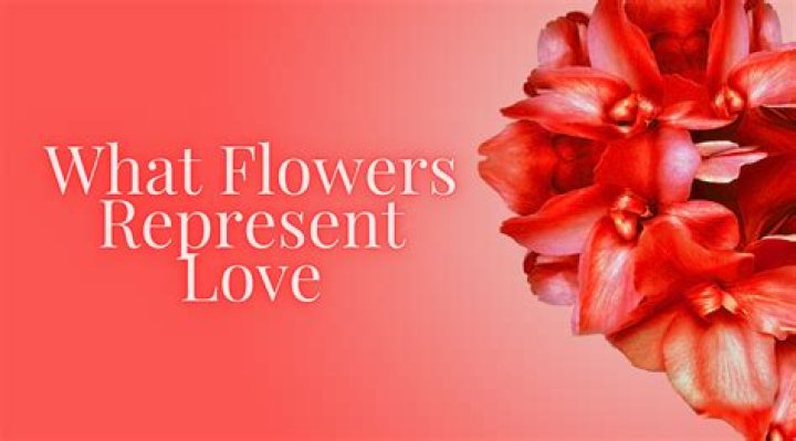 What flowers represent faith