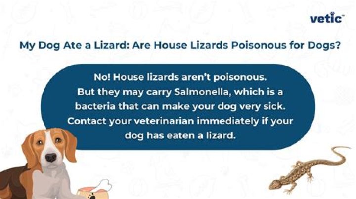What happens if my dog eats a worm