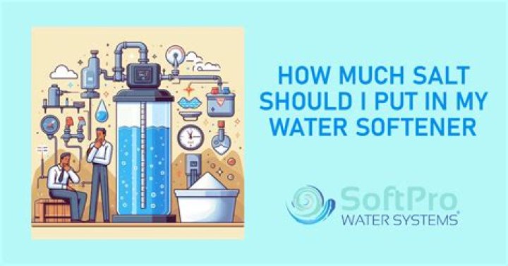 What happens if you dont put salt in water softener