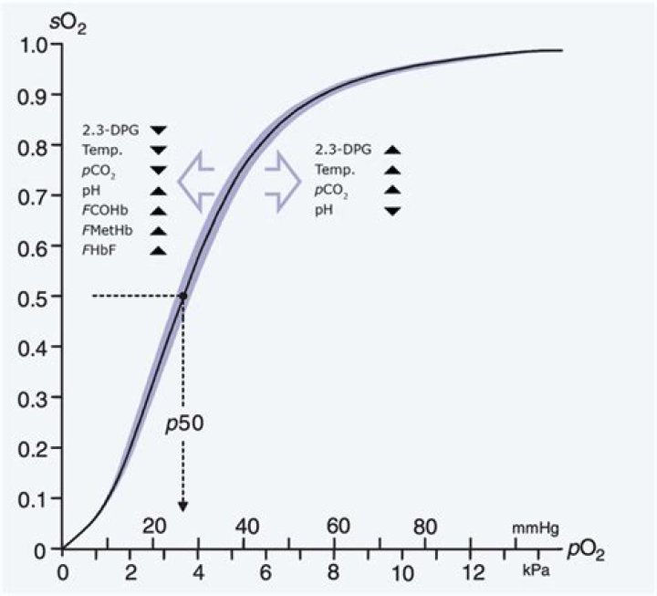 What happens to po2 during hyperventilation