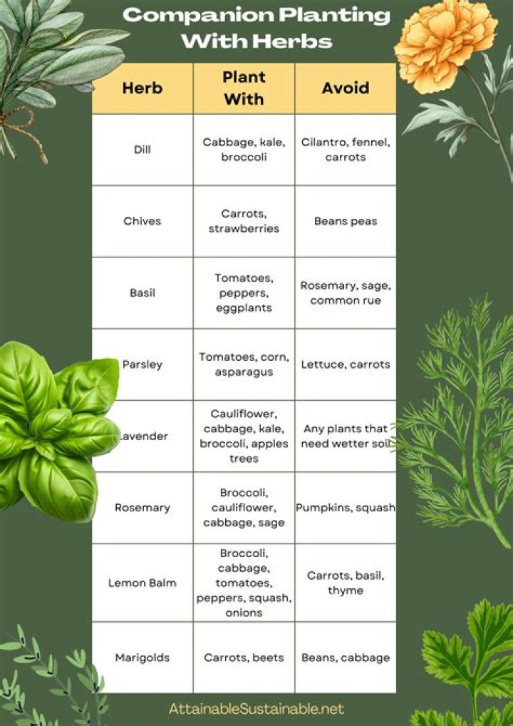 What herbs can I bring inside for the winter