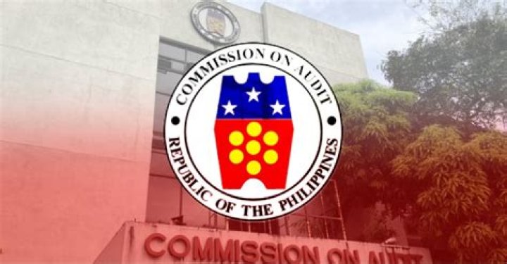 What is a COA in government