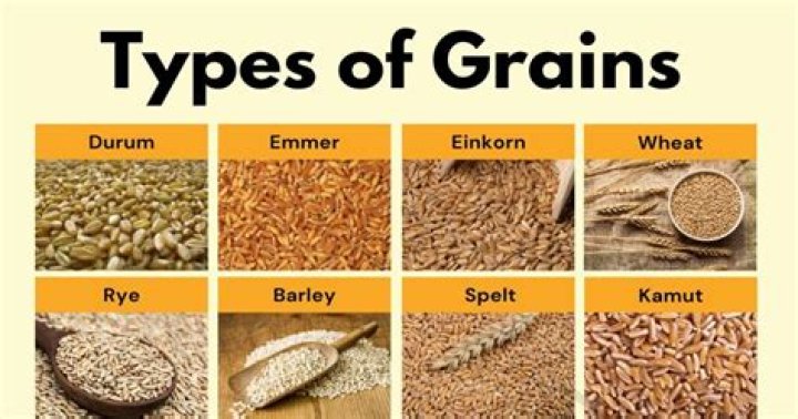 What is a grain British