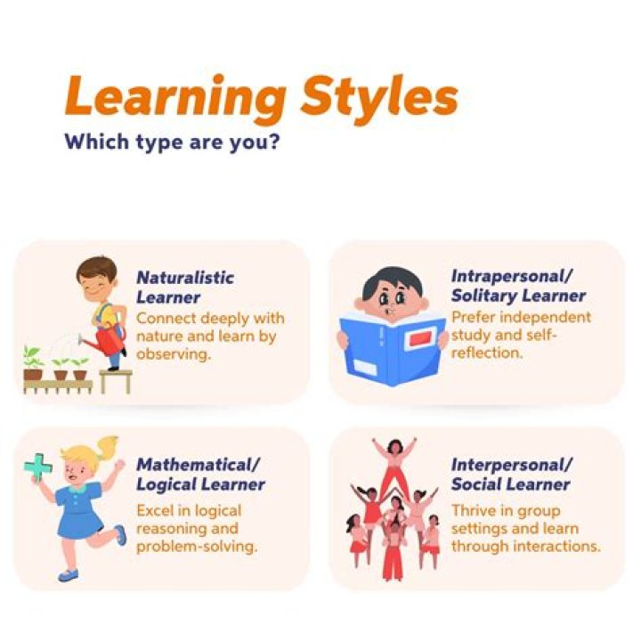 What is a naturalistic learning style