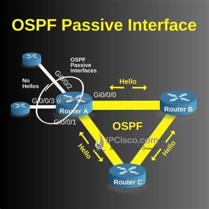 What is a passive interface OSPF