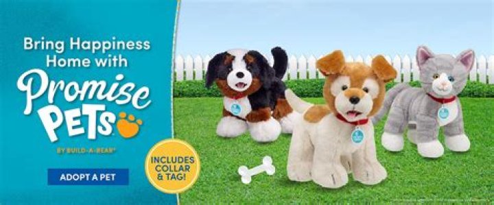 What is a promise pet Build a Bear