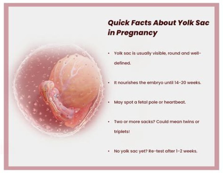 What is a yolk sac in a pregnant woman