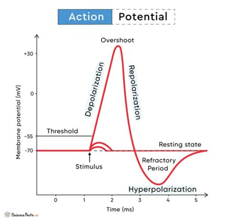 What is an action of division and sale