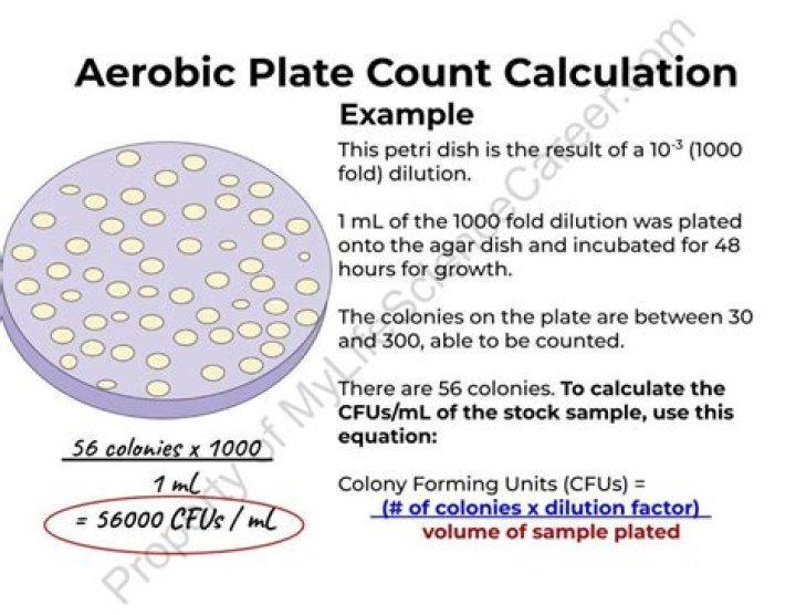 What is an aerobic plate count