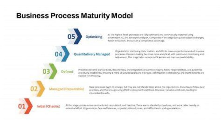 What is Business Process Maturity Model