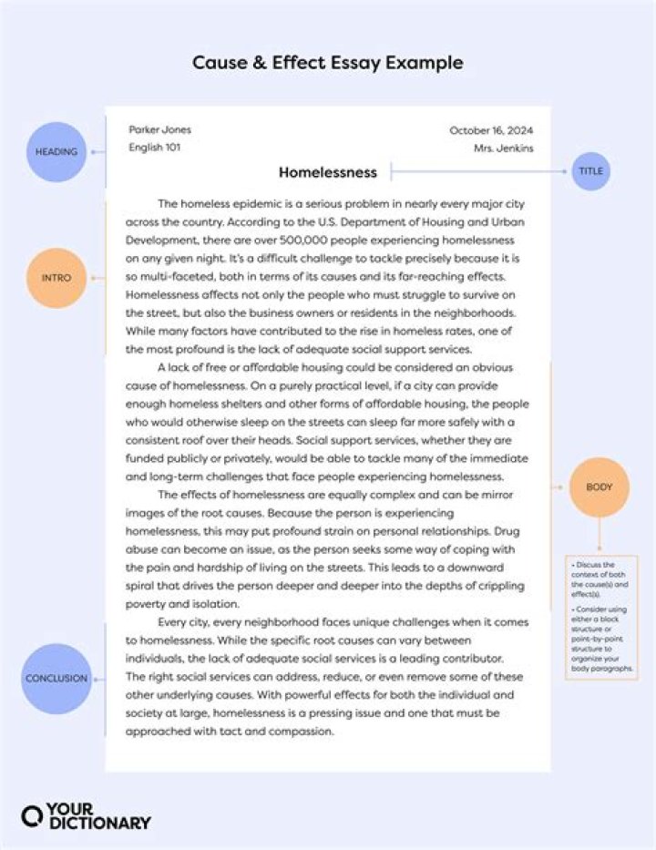 What is cause and effect essay example