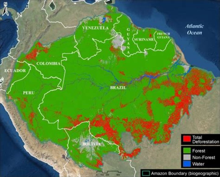 What is destroying the Atlantic Forest