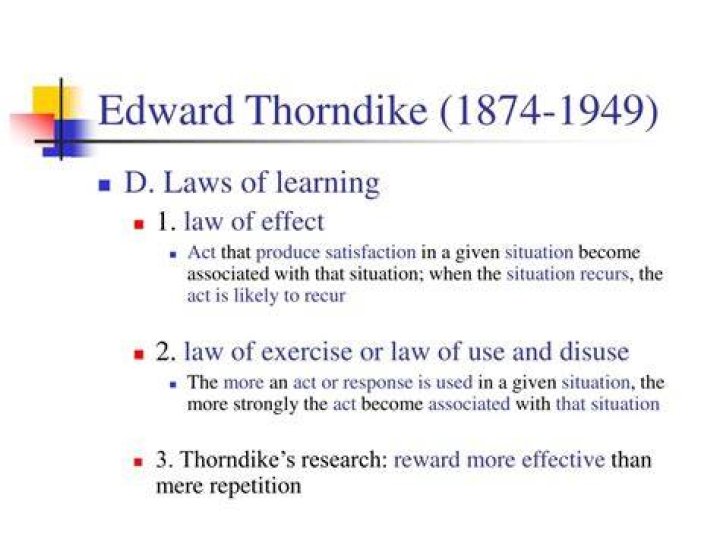 What is Edward Thorndike theory