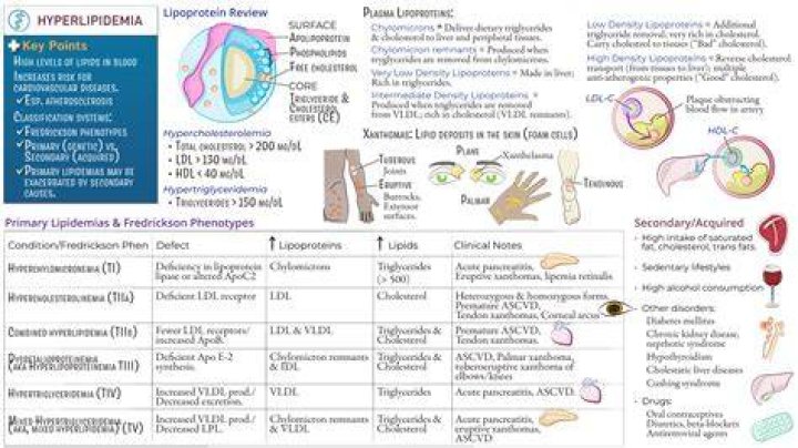What is essential hypertriglyceridemia