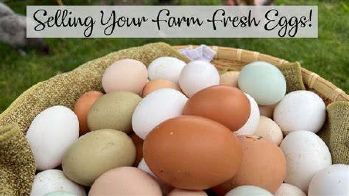 What is farm fresh eggs