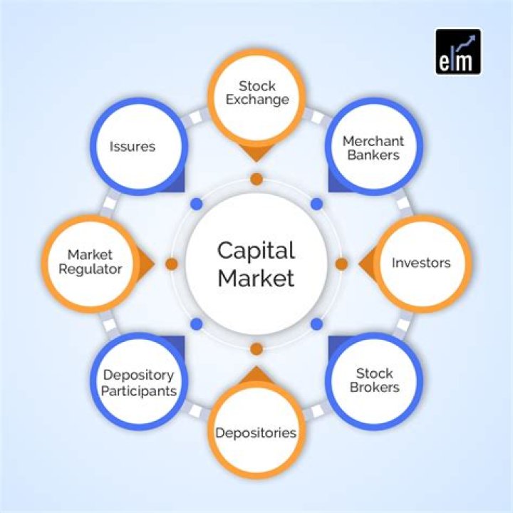 What is future capital needs