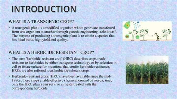 What is herbicide resistant crops
