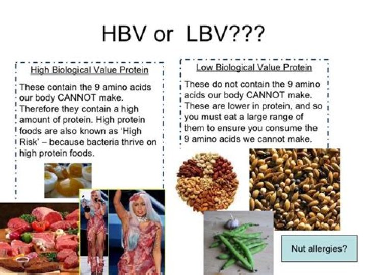 What is high biological protein