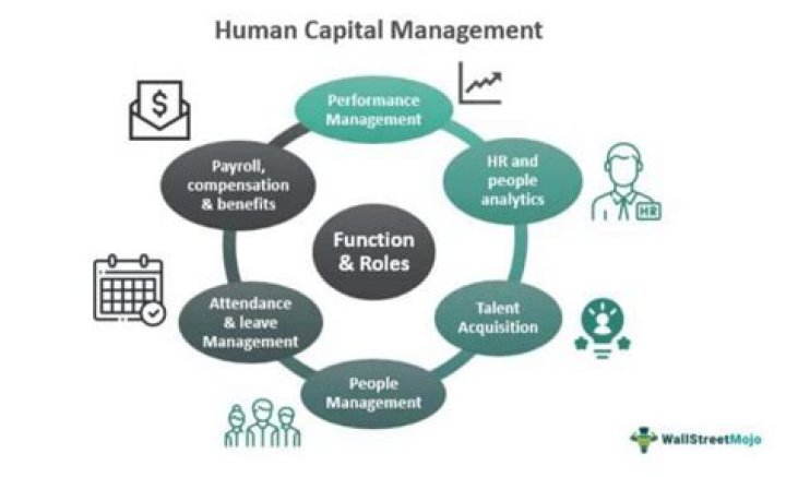 What is Human Resource Capital Management