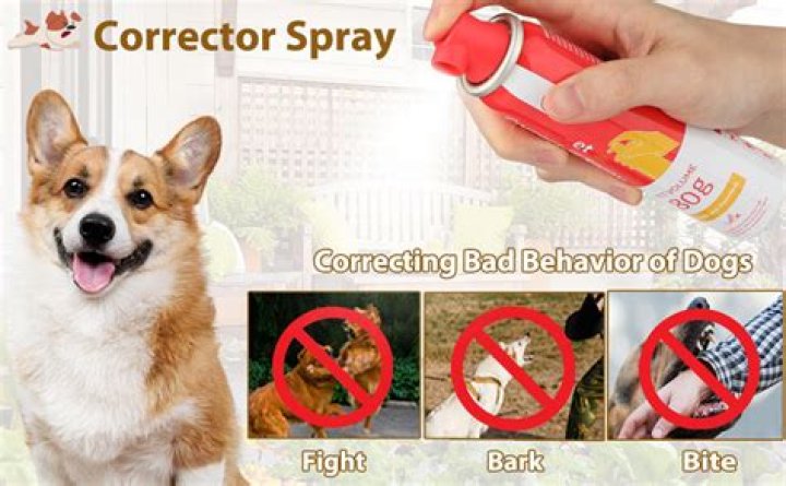 What is in Pet Corrector Spray