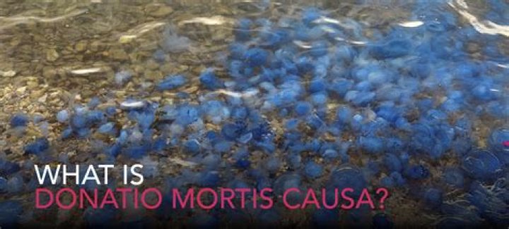 What is mortis causa
